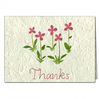 Thank You Note Card