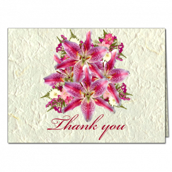 Thank You Note Card