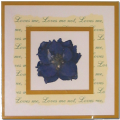 Enclosure Cards - Loves me, loves me not