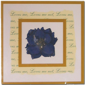 Larkspur Blue