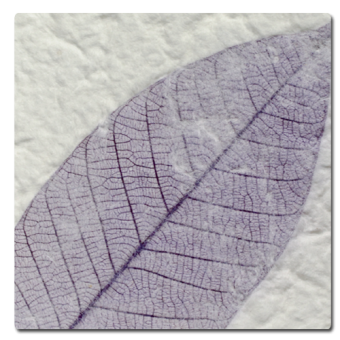 Purple Fossil Leaf