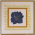 Larkspur Blue