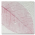 Pink Fossil Leaf