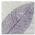 Purple Fossil Leaf